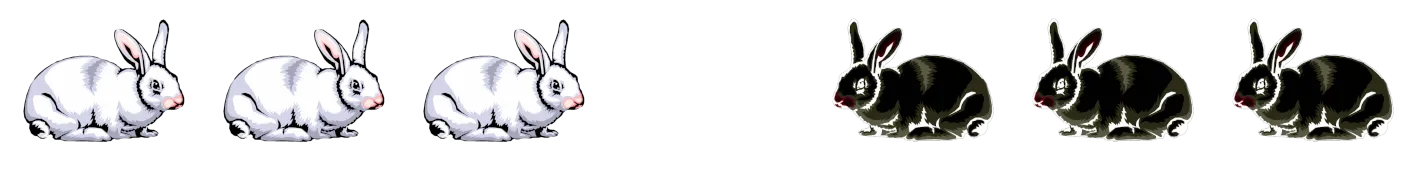 Row of rabbits